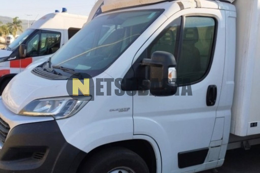 Subasta De Fiat Ducato Maxi Jtd