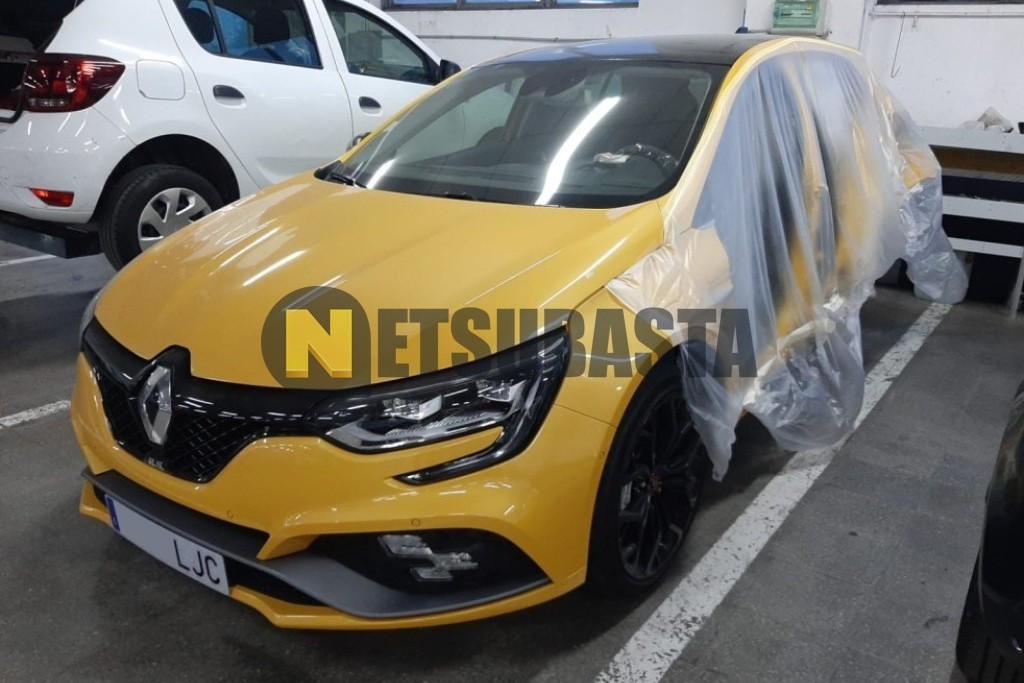 Renault Megane RS 1.8 TCe GPF EDC 2020