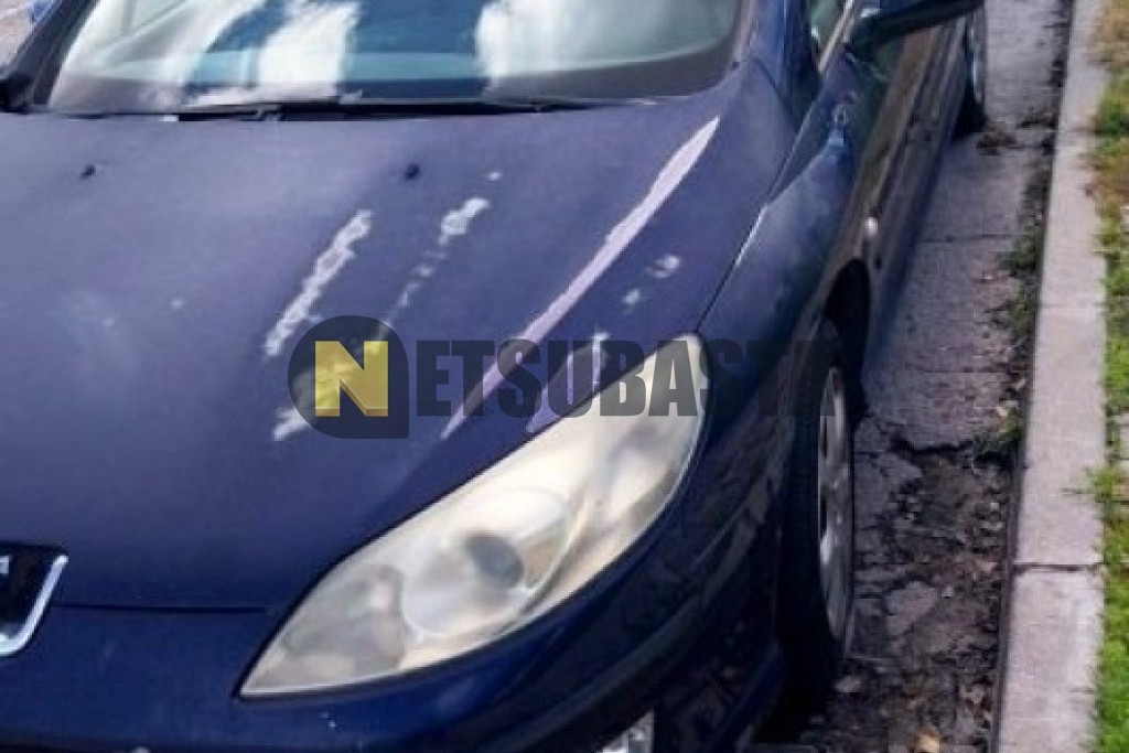 Peugeot 407 1.6 HDi 2004