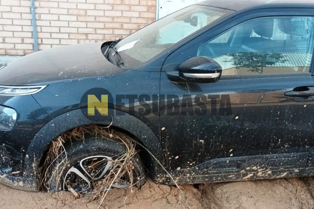 Citroën C4 Cactus FL 1.5 Bluehdi 2020