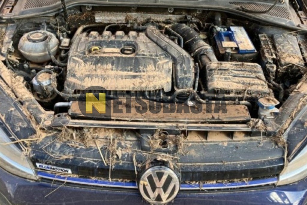 Volkswagen Golf 1.5 TSI 2020