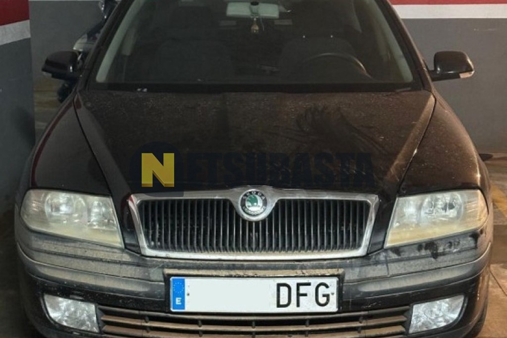 Skoda Octavia 1.9 TDI 2005