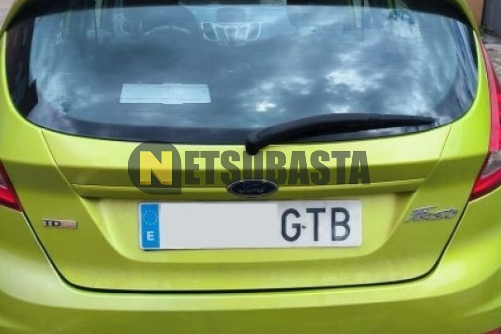 Ford Fiesta 1.4 TDCi 2010