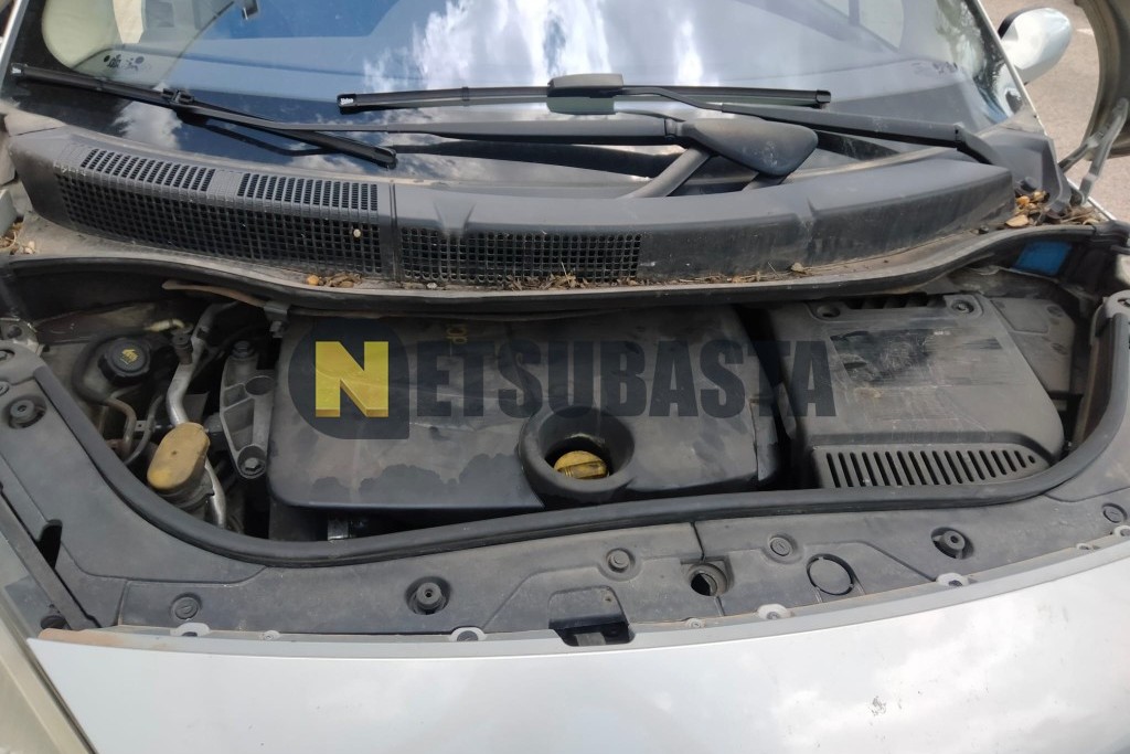 Renault Scenic 1.9 dCi 2004