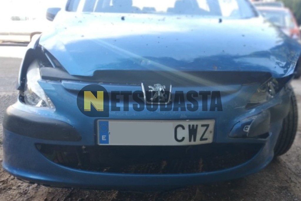 Peugeot 307 2.0 HDi 2004