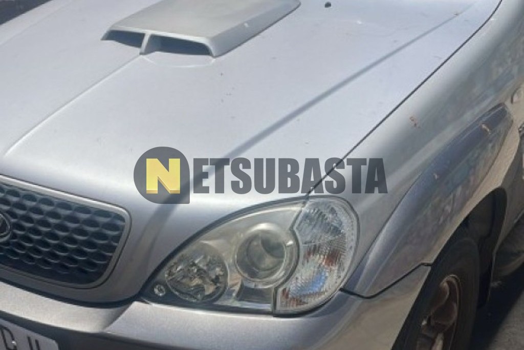 Hyundai Terracan 2.9 CRDi AWD 2005