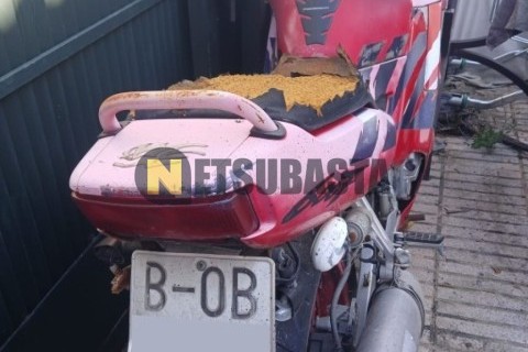 Yamaha TZR 50 1999