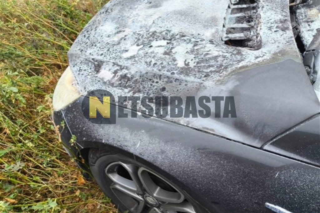 Mercedes-Benz R 300 CDI 2011