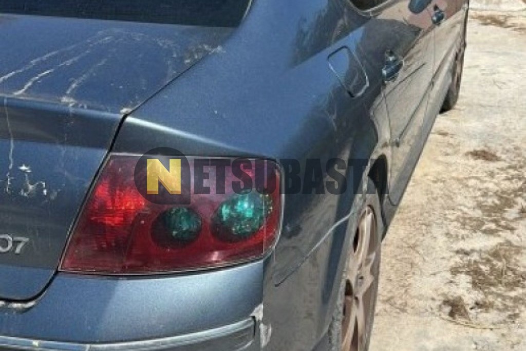 Peugeot 407 ST 2.0 HDi FAP 2005