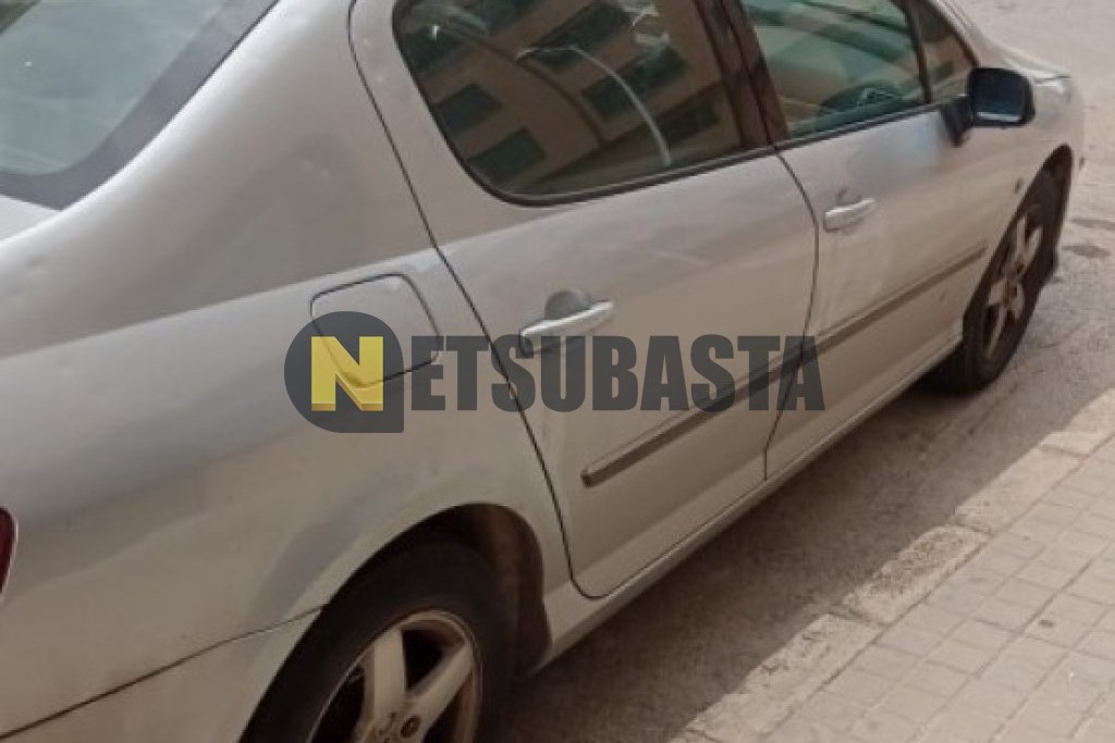 Peugeot 407 ST 2.0 HDi 2004