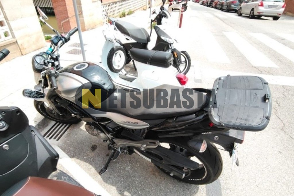 Suzuki Gladius 650 2011