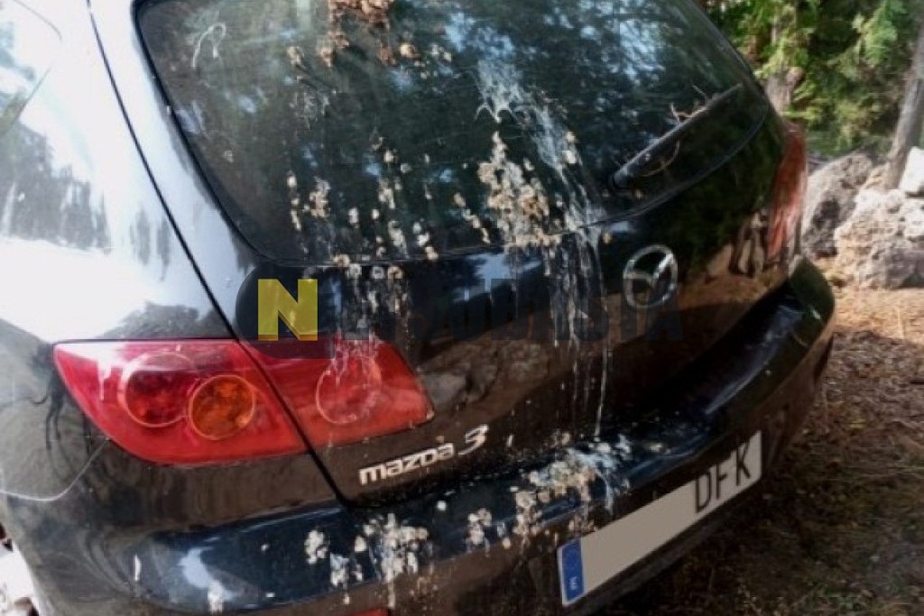 Mazda 3 1.6 CRTD 2005