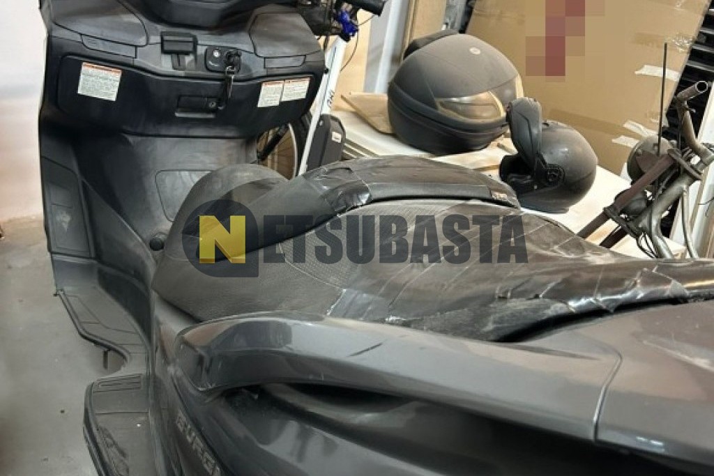 Suzuki BURGMAN 400 2007