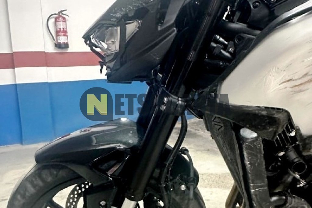 Kawasaki Z 900 2025