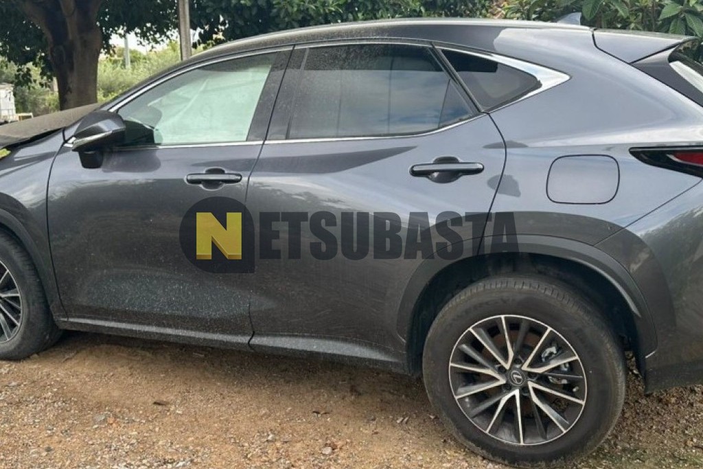 Lexus NX 450h+ 4X4 2025