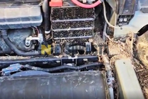 Yamaha Majesty 125 2004