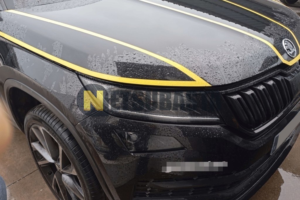 Skoda Kodiaq 2.0 TDI DSG 4x4 2021