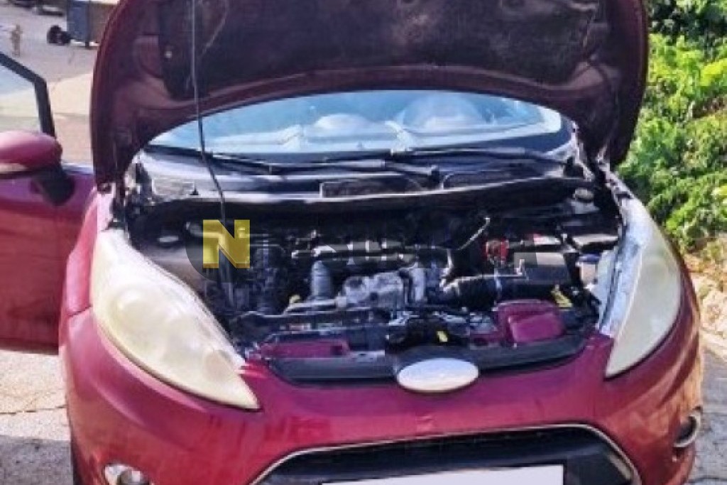 Ford Fiesta 1.60 TDCi 2009