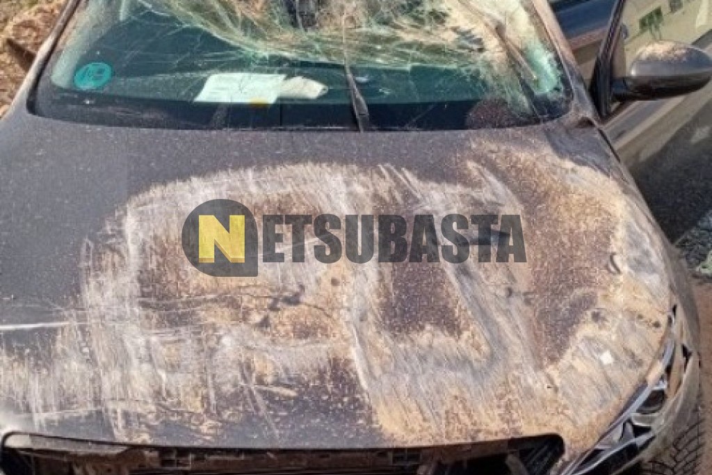 Peugeot 308 1.2 PureTech 2019