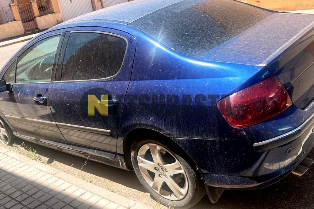 Peugeot 407 ST 2.0 HDi FAP 2005