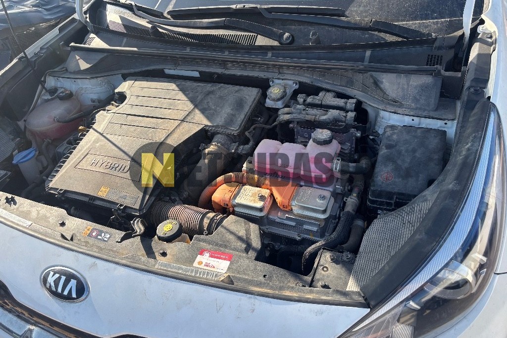 Kia Niro 1.6 HEV 2021