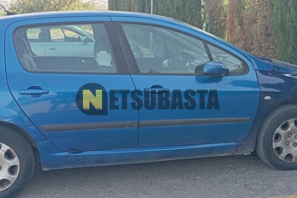 Peugeot 307 1.6 2003
