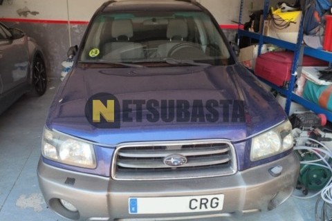 Suzuki BURGMAN 650 Executive 2007