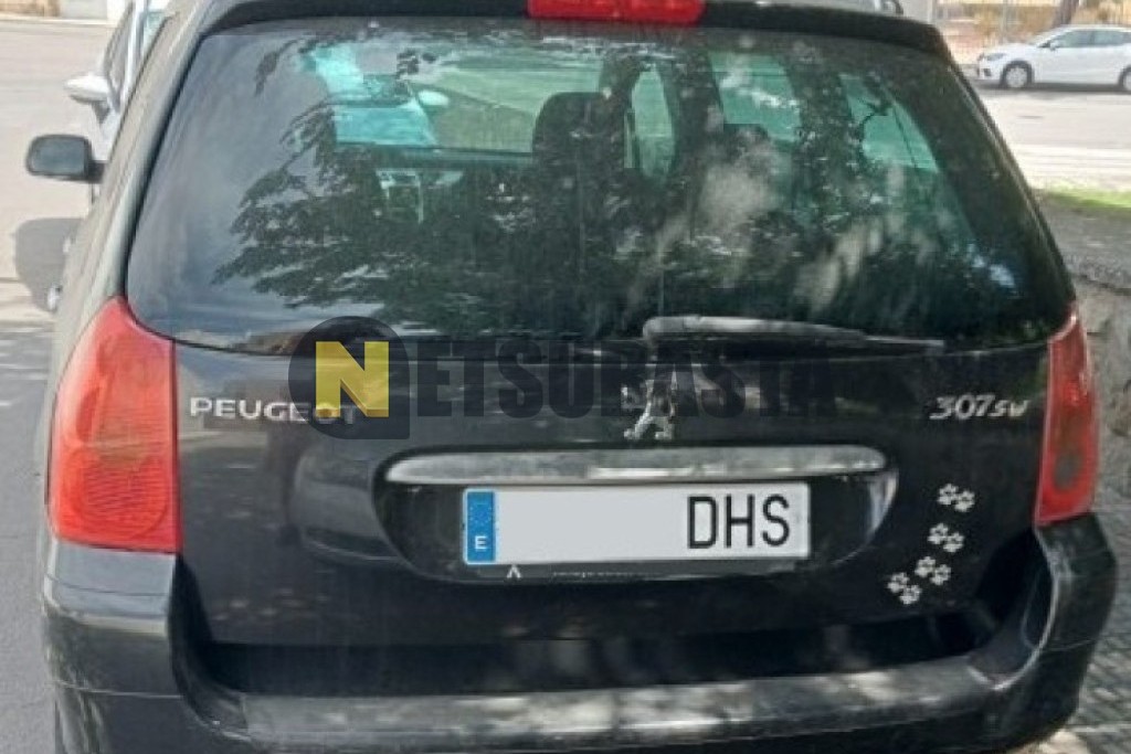 Peugeot 307 SW 1.6 HDi 2005