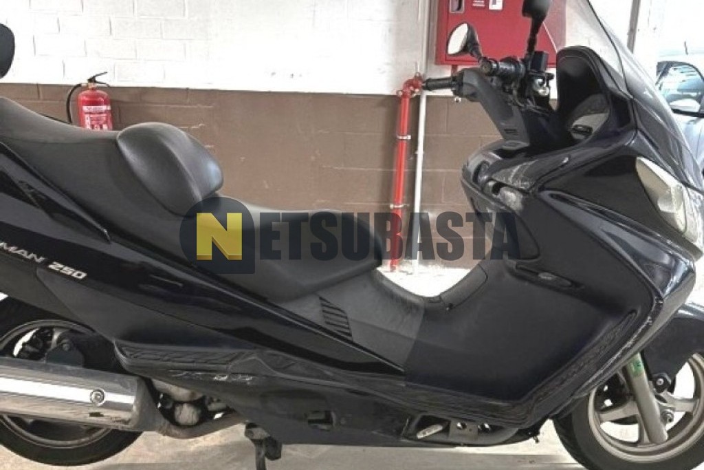 Suzuki BURGMAN 250 2006