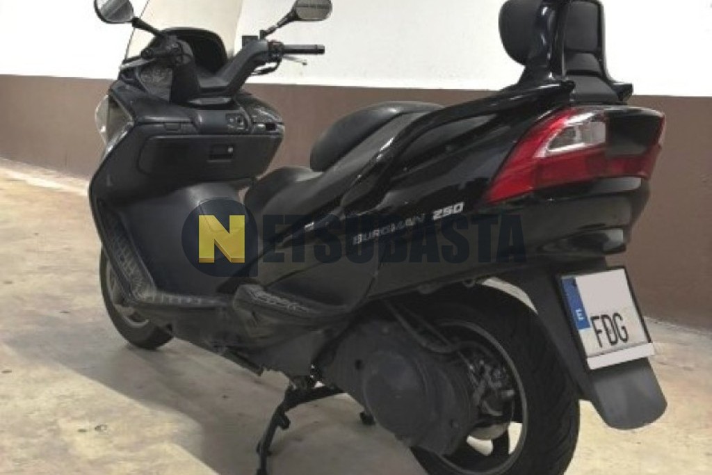 Suzuki BURGMAN 250 2006