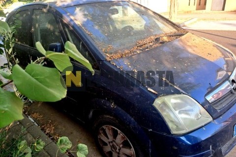 Suzuki Zillion 50 W 2001