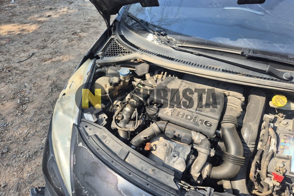 Peugeot 207 1.6 HDi 2007