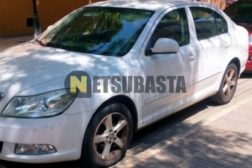 Skoda Octavia 1.9 TDI 2010