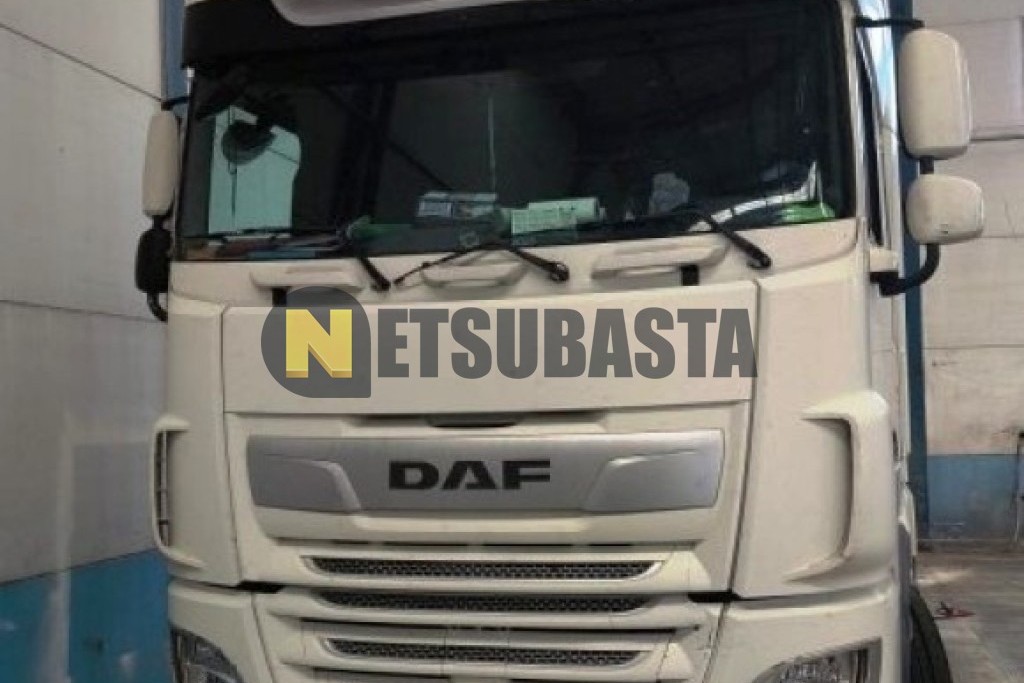 DAF XF 530 2019
