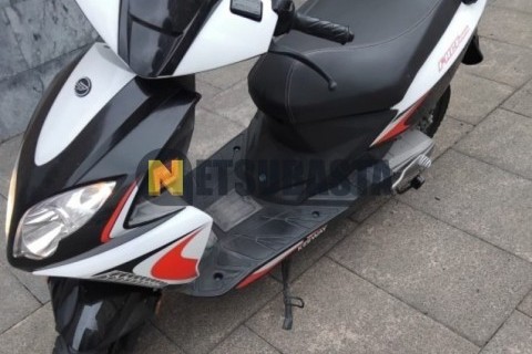 Yamaha XVZ 1300 Royal Star 1996
