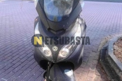 ZONTES M 310 2022