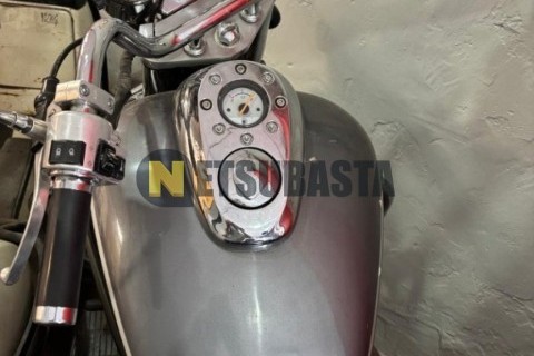 ZONTES M 310 2022
