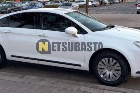 ZONTES M 310 2022