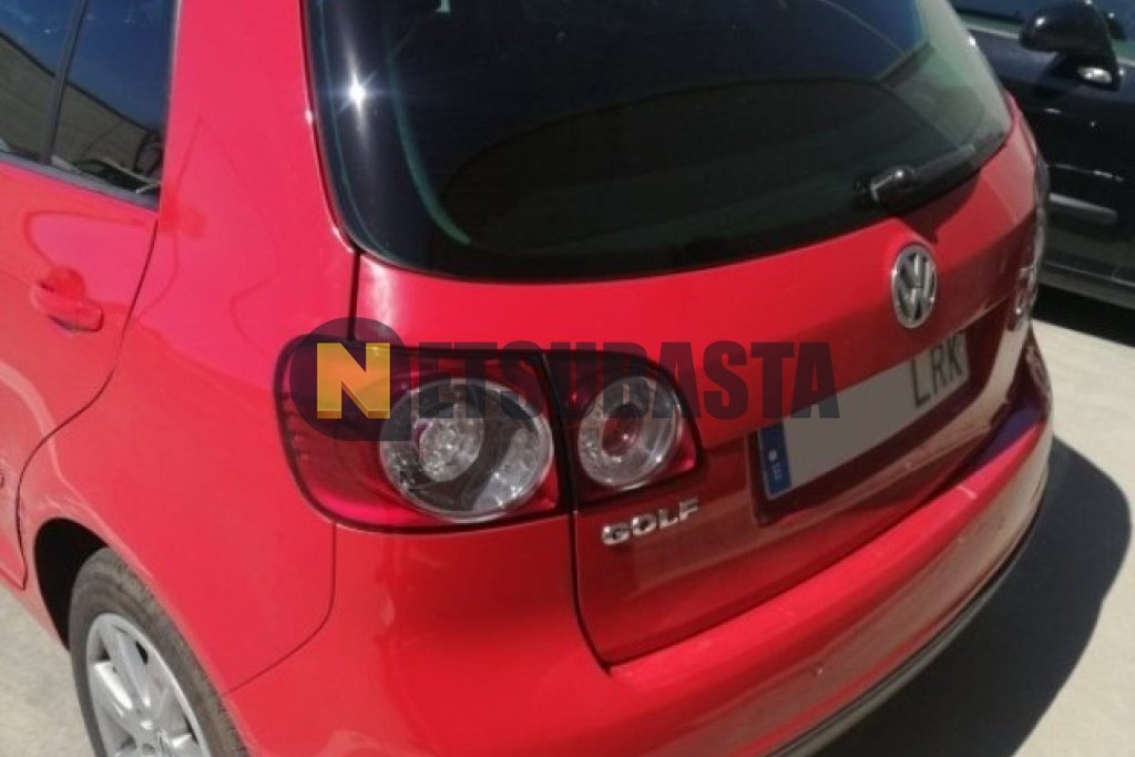 Volkswagen Golf Plus 2.0 TDI 2005