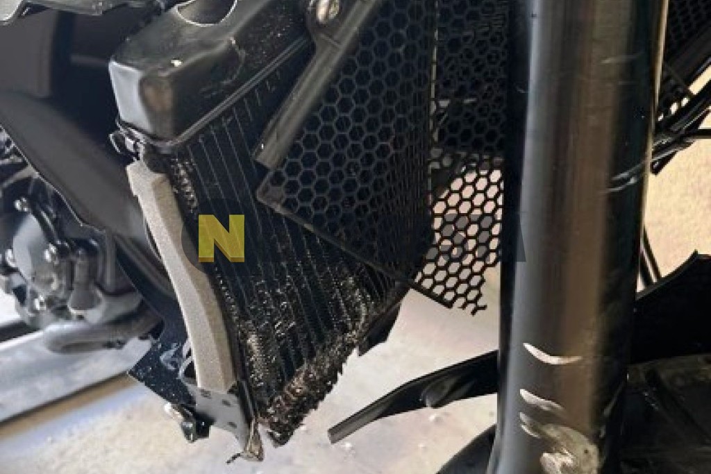 Triumph Tiger 900 GT Pro 2025