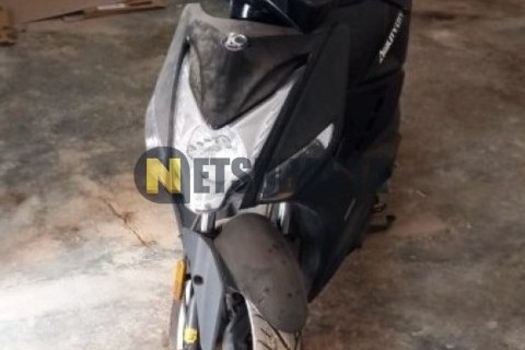 ZONTES M 310 2022