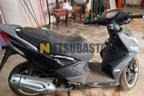 ZONTES M 310 2022