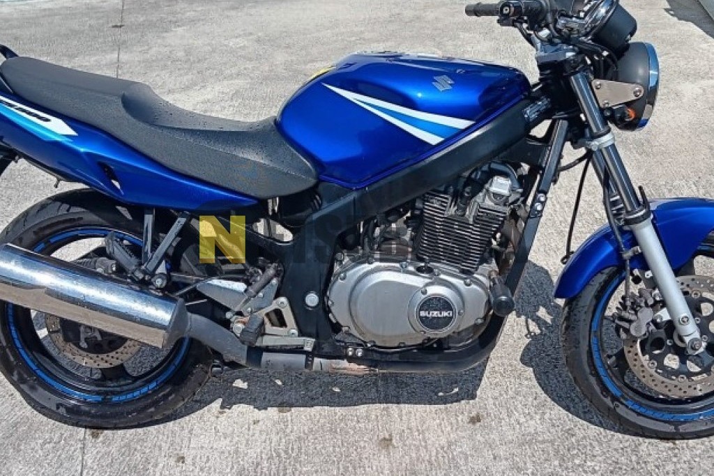 Suzuki GS 500 2005