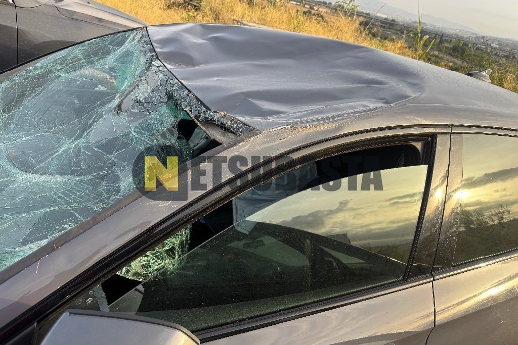 Cupra Leon 1.5 eTSI DSG 2024