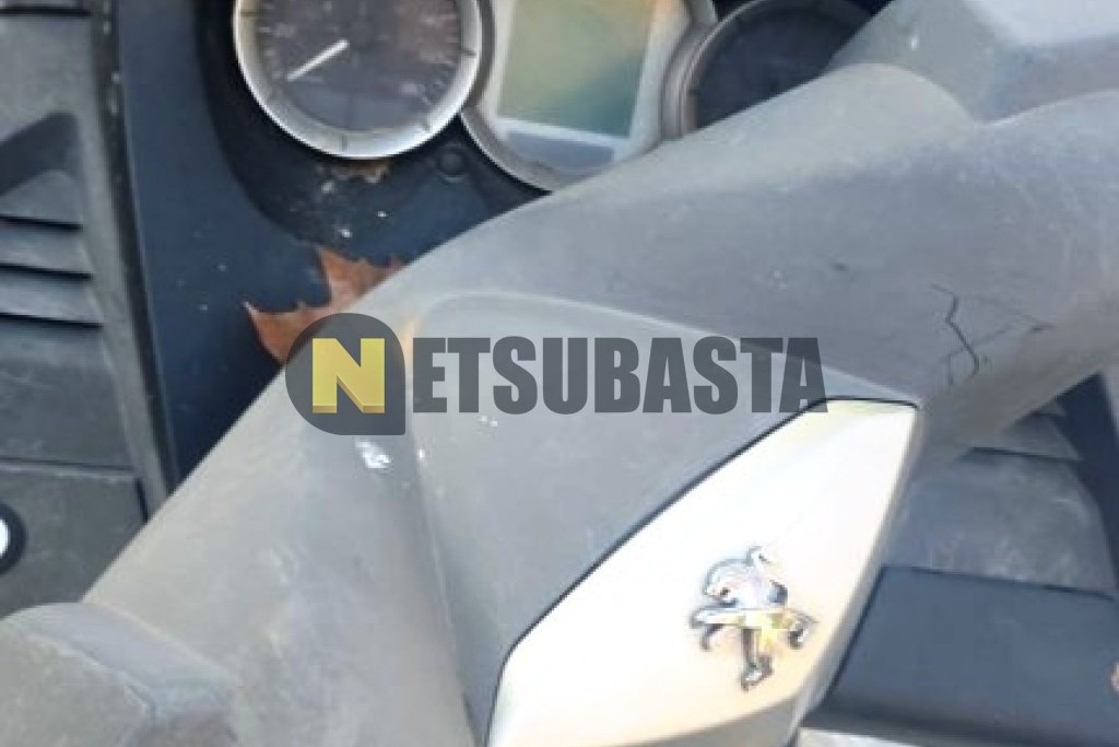 Peugeot Satelis 125 2014