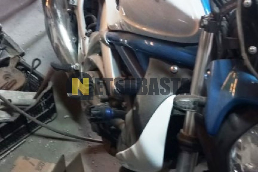 Suzuki Gladius 650 2009