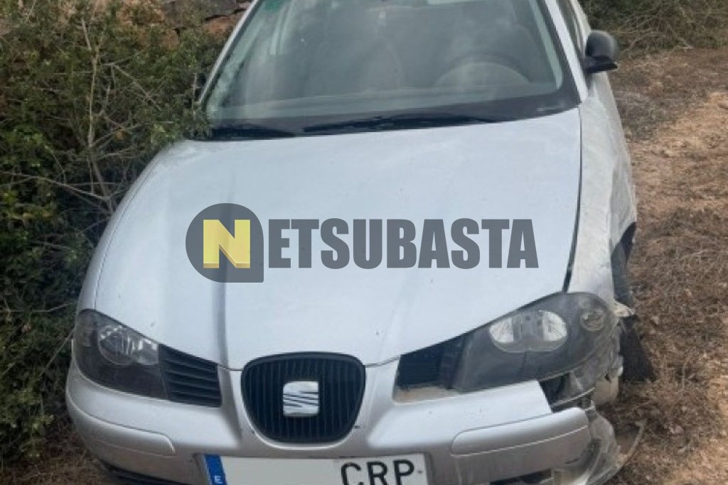 Seat Ibiza 1.4 2004