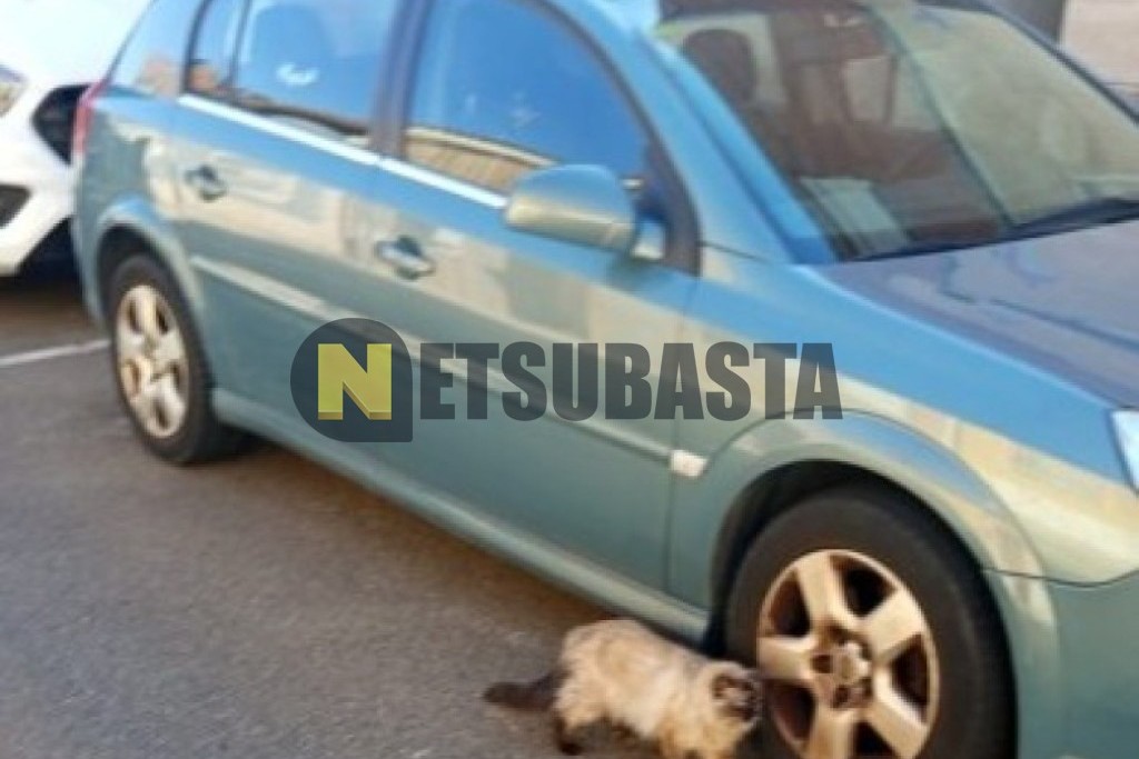Opel Signum 1.9 CDTi Aut. 2005