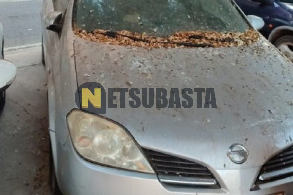 Nissan Primera 2.2Di 2002