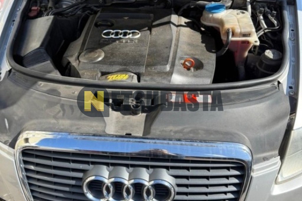 Audi A6 2.0 TDI multitronic 7 vel. DPF 2007